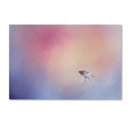 Jai Johnson 'I Wish I Could Fly - Bluebird 1' Canvas Art,22x32